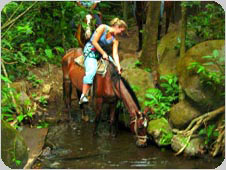 Horseback Riding!
