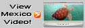 View our Videos!