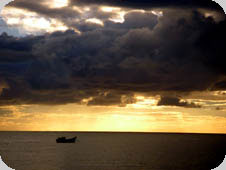 To set as your desktop wallpaper, click on your favorite photo & than right-click and select "Set as Background"